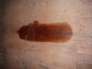 tung oil sample for sanctuary floor