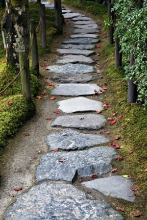 path of paving stones in a garden